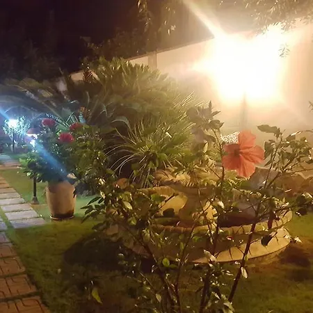 Couette-café Keira Quartucciu